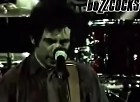 The Buzzcocks - Live 1981